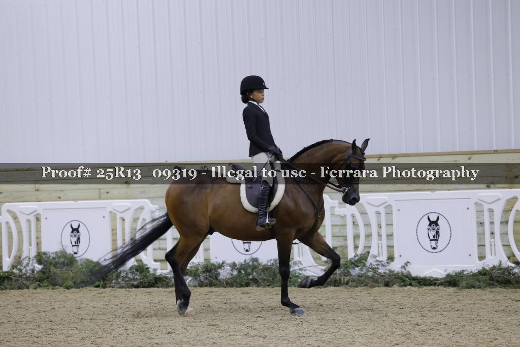 Proof 25R13_09319
