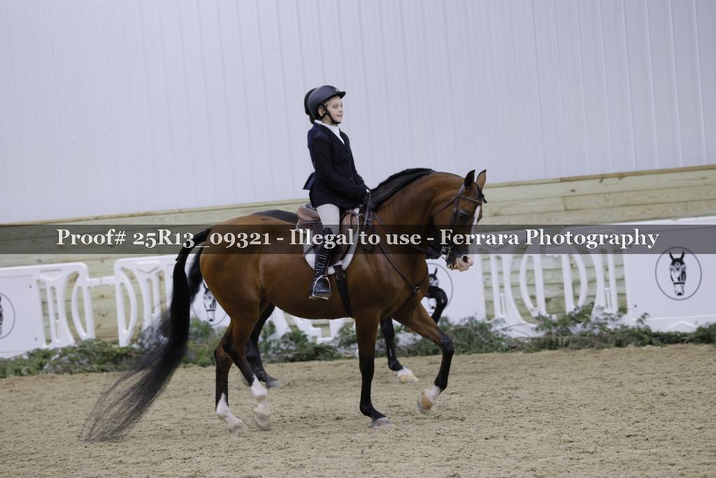 Proof 25R13_09321