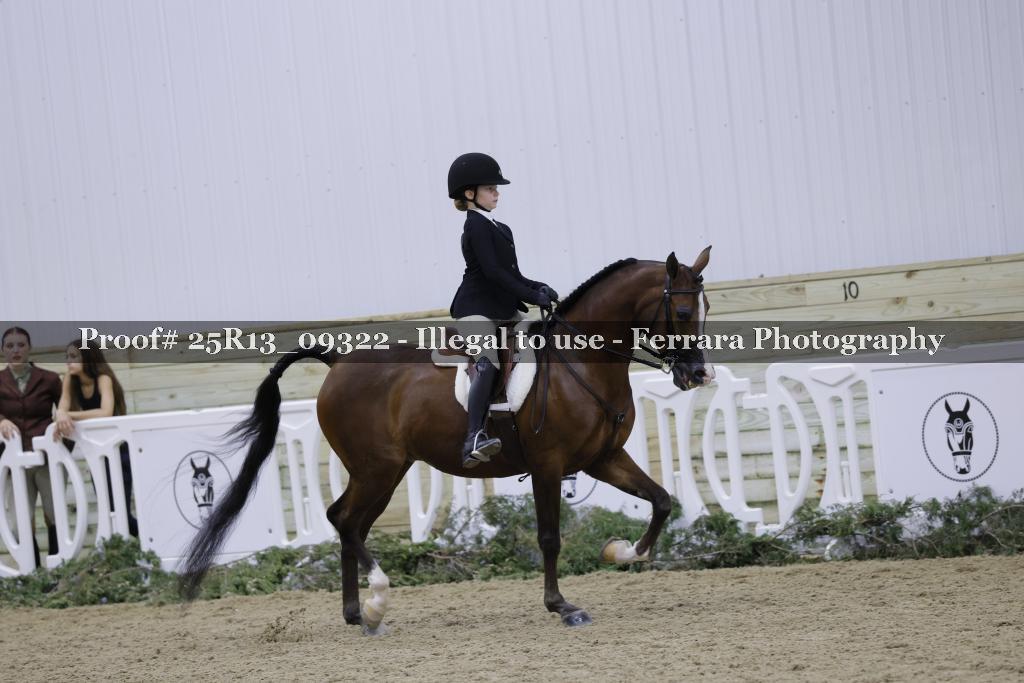 Proof 25R13_09322