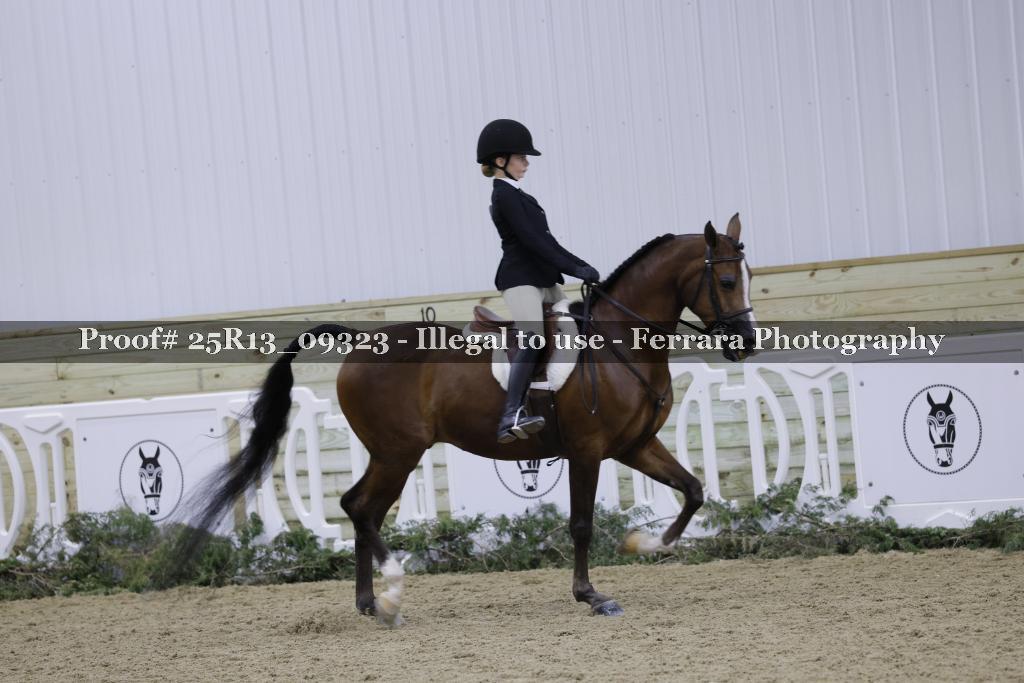 Proof 25R13_09323