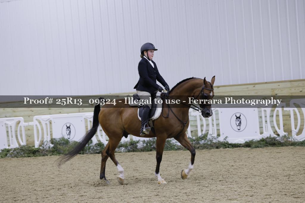 Proof 25R13_09324
