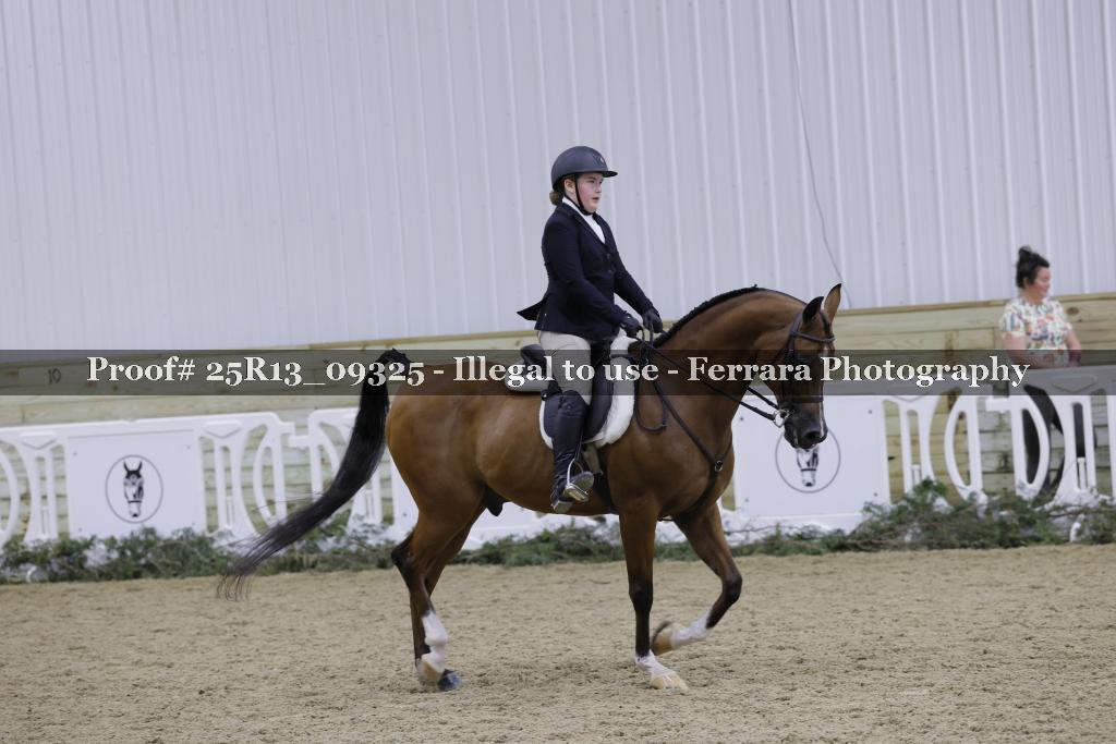 Proof 25R13_09325