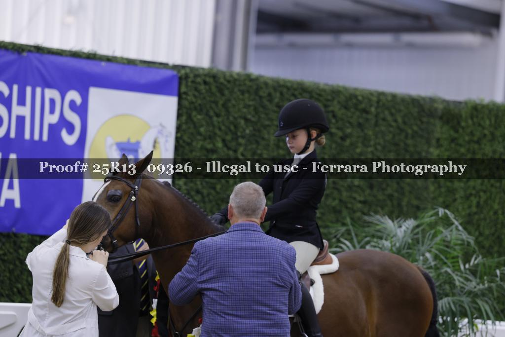 Proof 25R13_09326