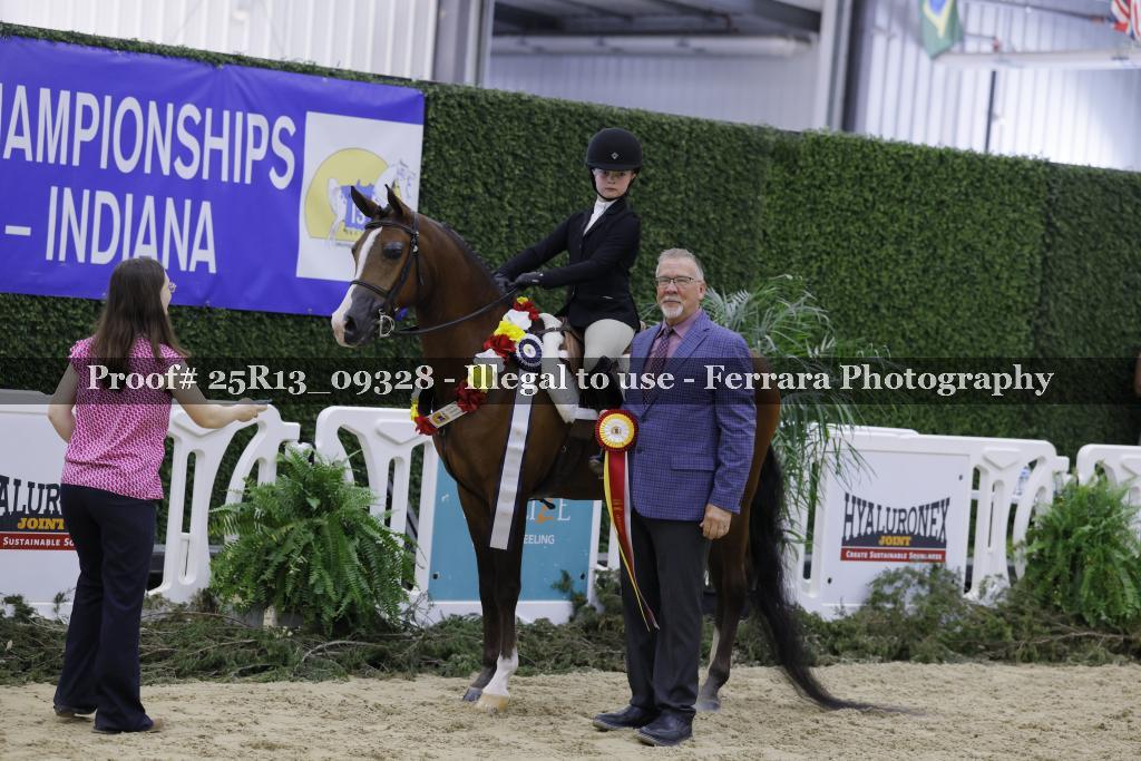 Proof 25R13_09328