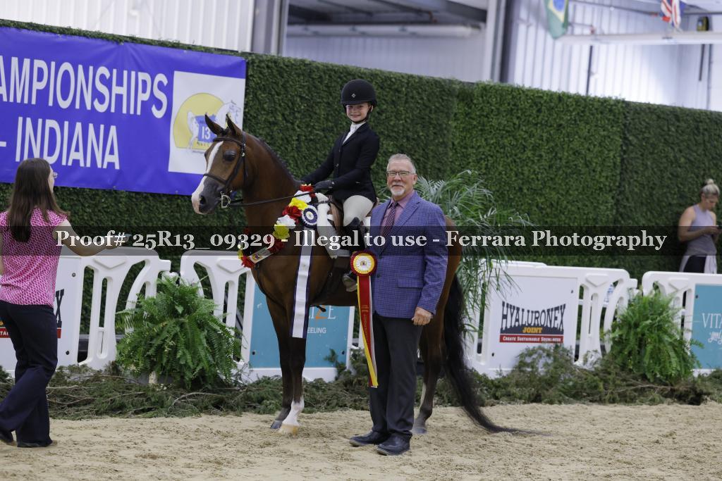 Proof 25R13_09329