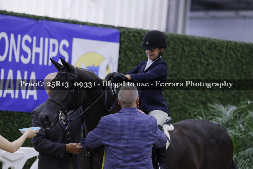 Proof 25R13_09331