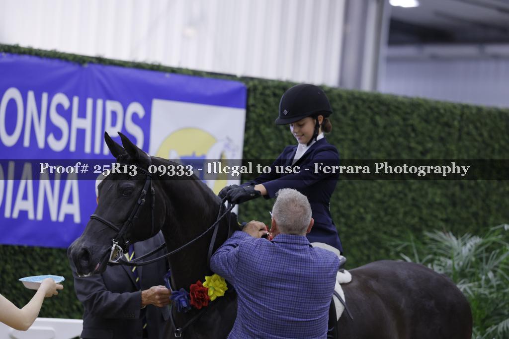 Proof 25R13_09333