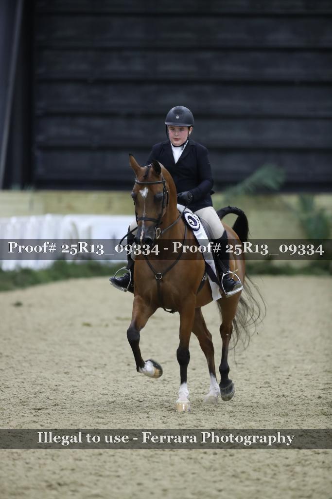 Proof 25R13_09334