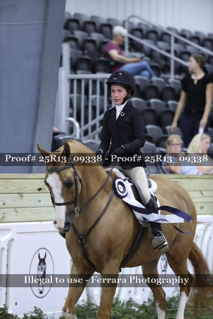 Proof 25R13_09338