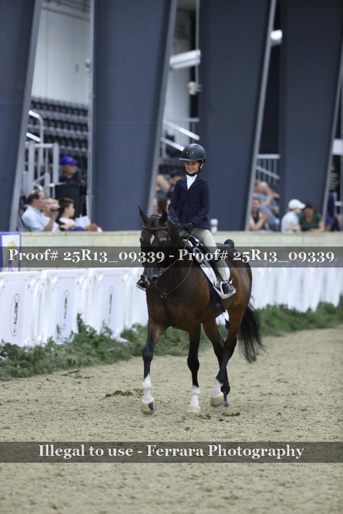 Proof 25R13_09339