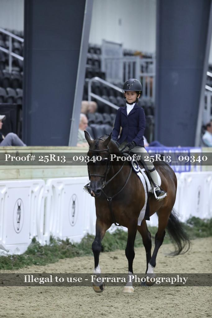 Proof 25R13_09340
