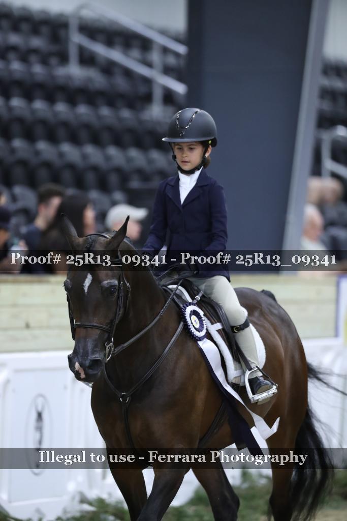 Proof 25R13_09341