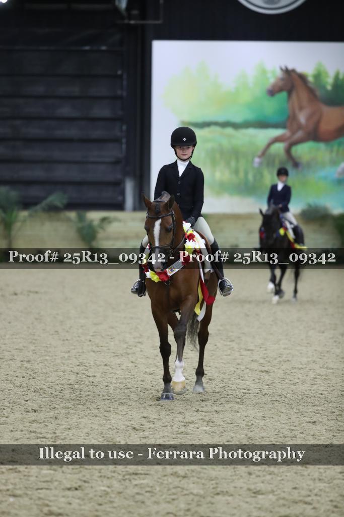 Proof 25R13_09342
