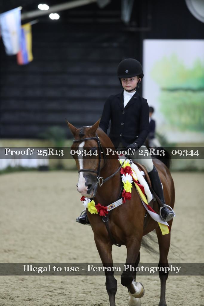 Proof 25R13_09344