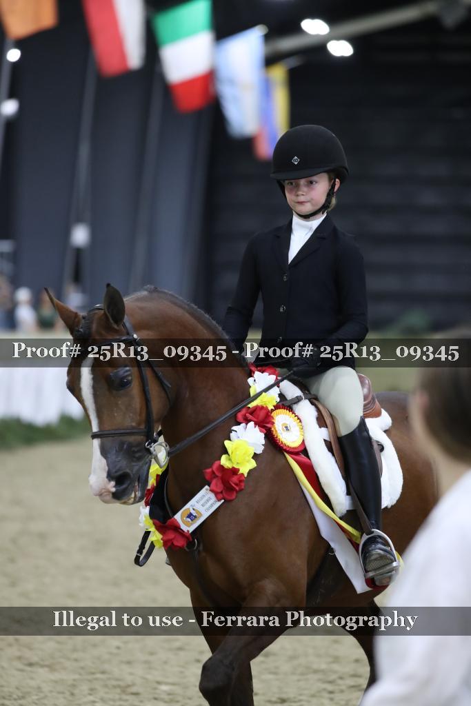 Proof 25R13_09345