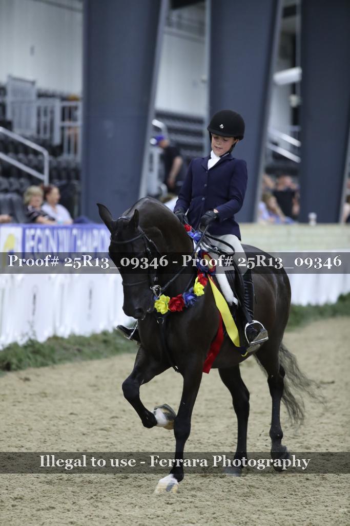 Proof 25R13_09346