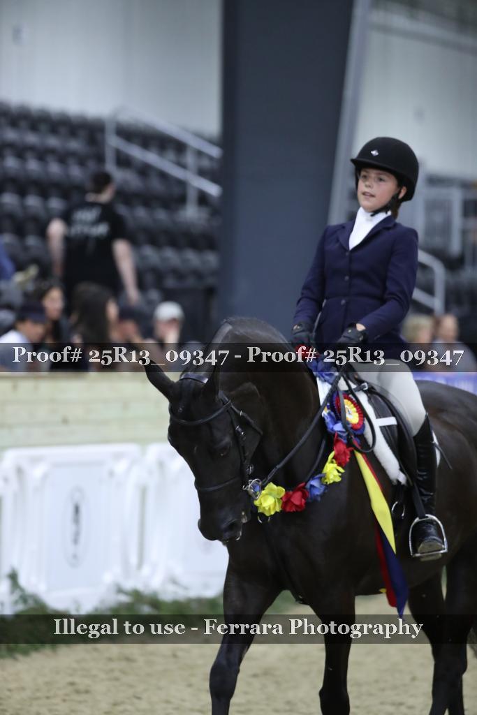Proof 25R13_09347