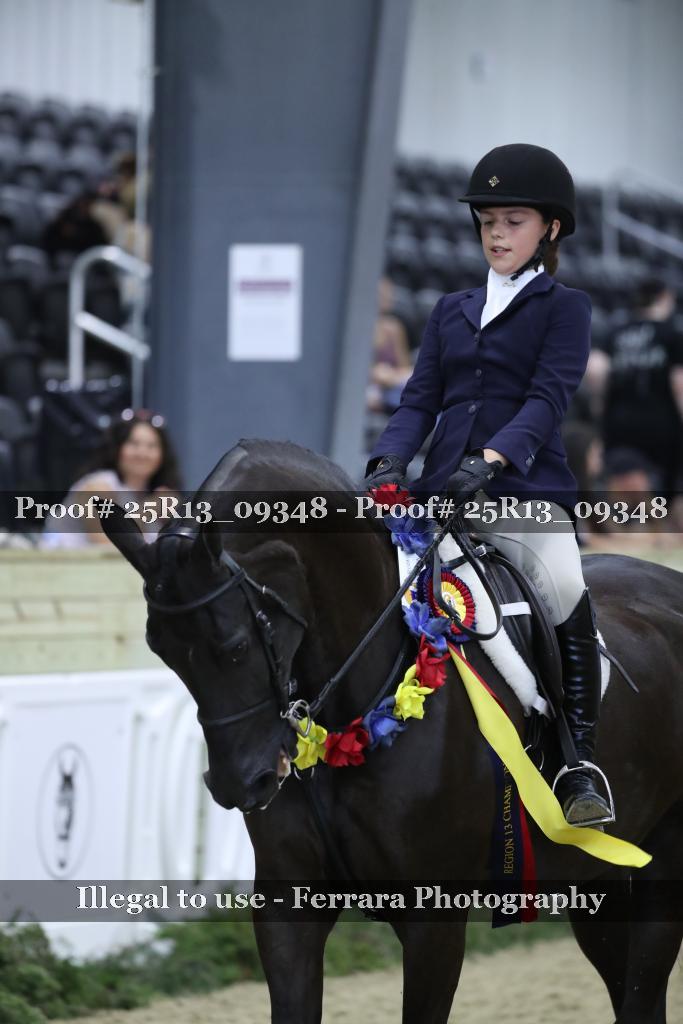 Proof 25R13_09348