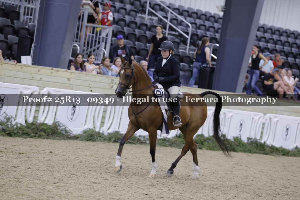 Proof 25R13_09349