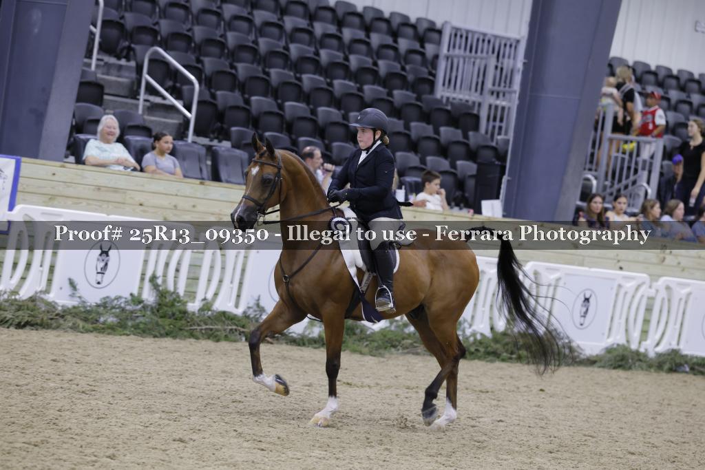 Proof 25R13_09350