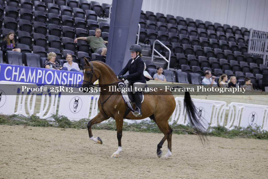Proof 25R13_09351