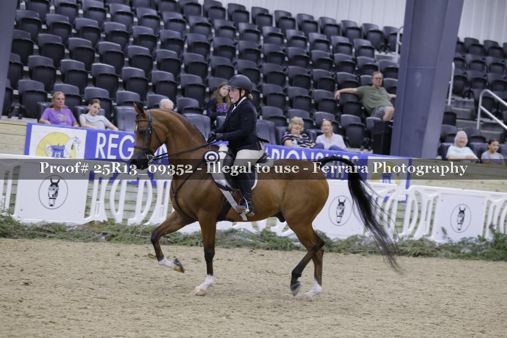 Proof 25R13_09352