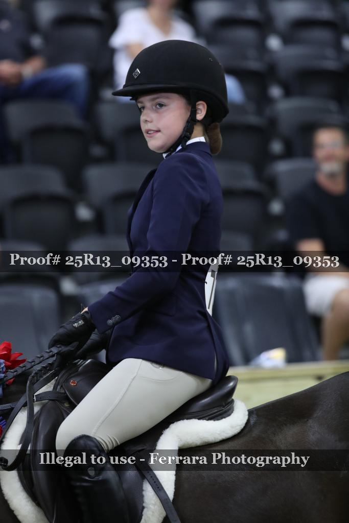 Proof 25R13_09353
