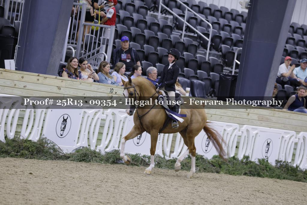 Proof 25R13_09354