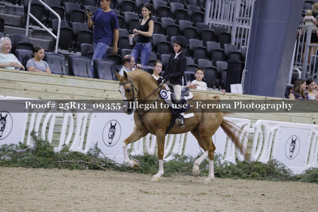 Proof 25R13_09355