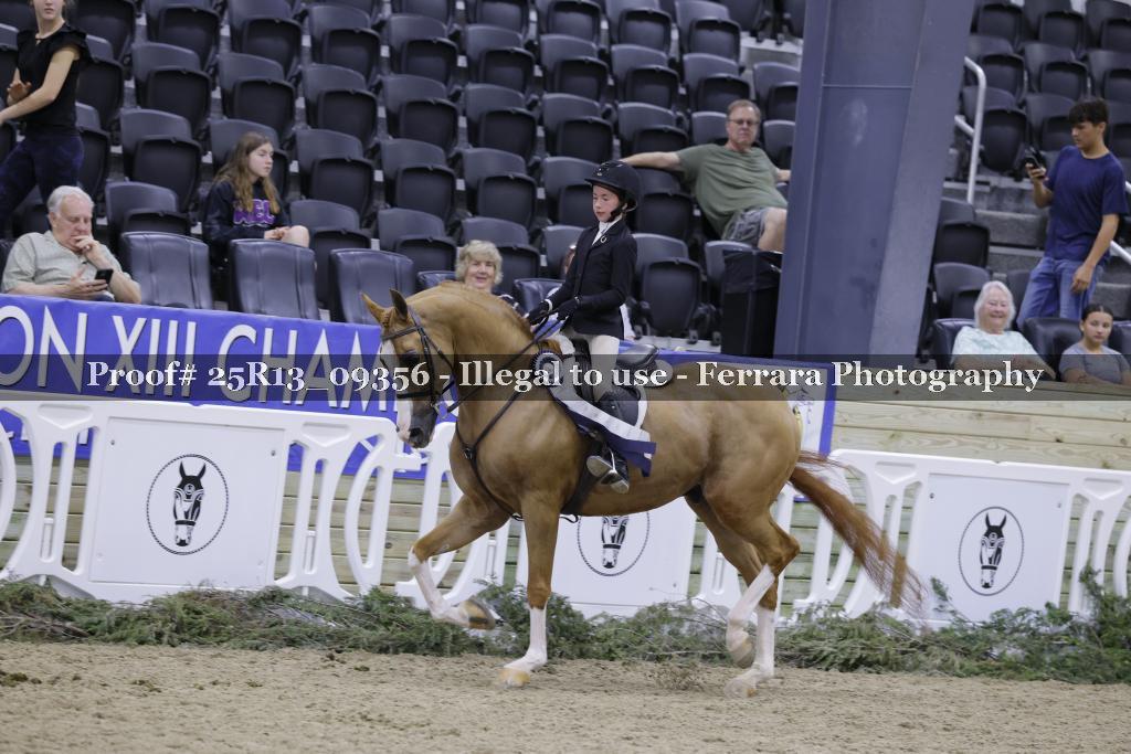 Proof 25R13_09356
