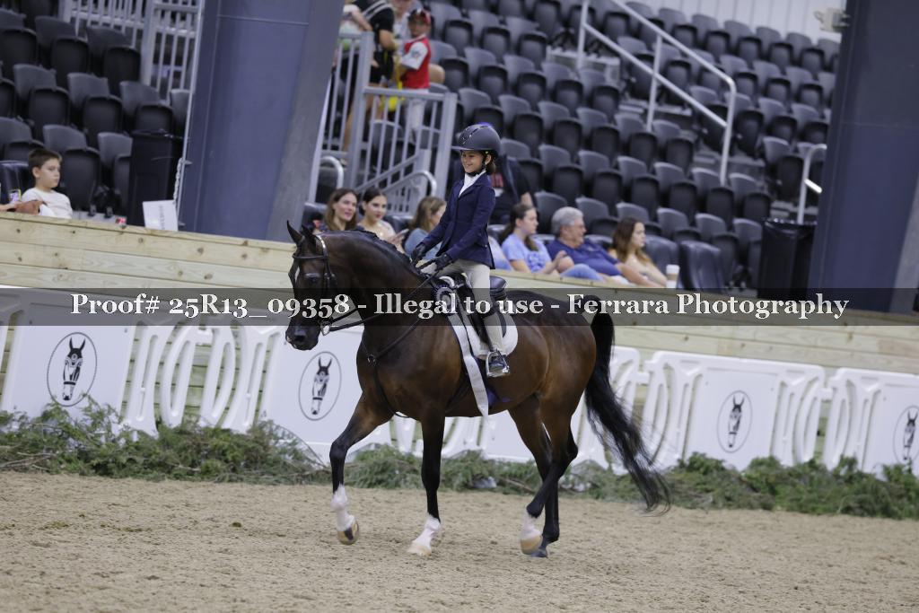 Proof 25R13_09358