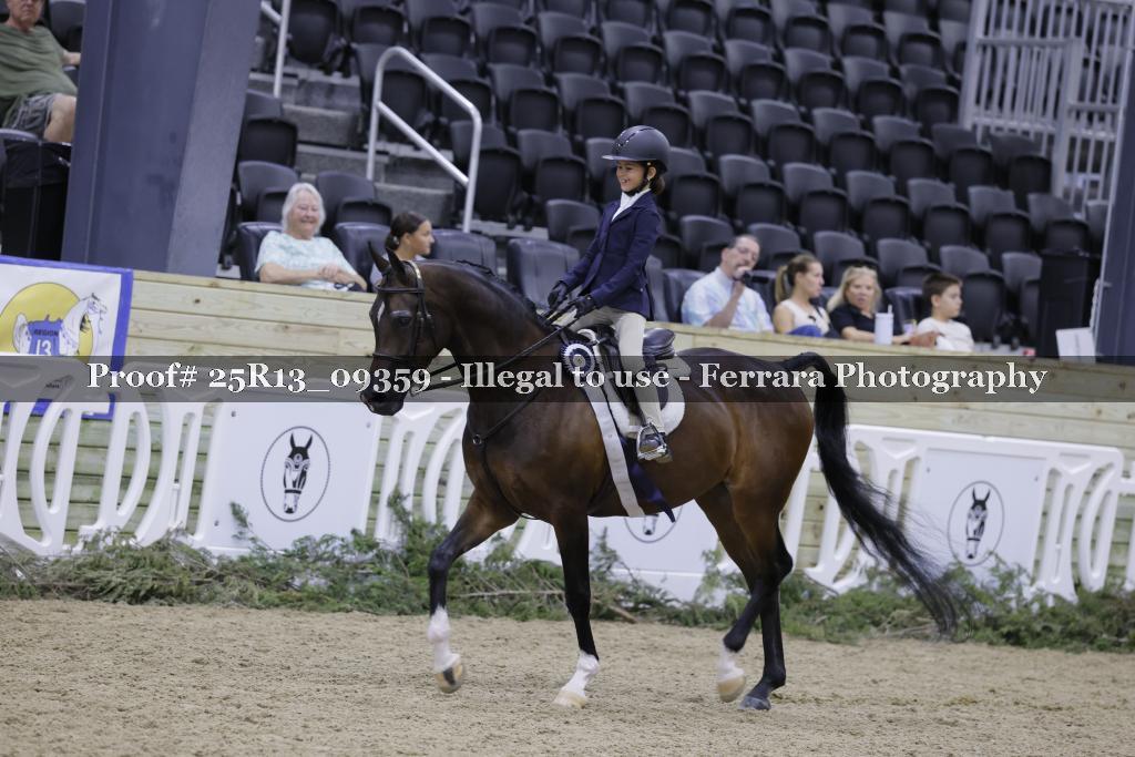 Proof 25R13_09359