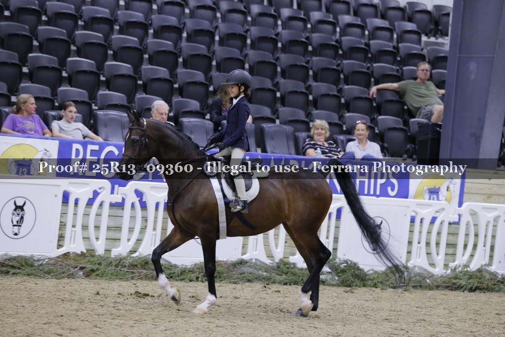 Proof 25R13_09360