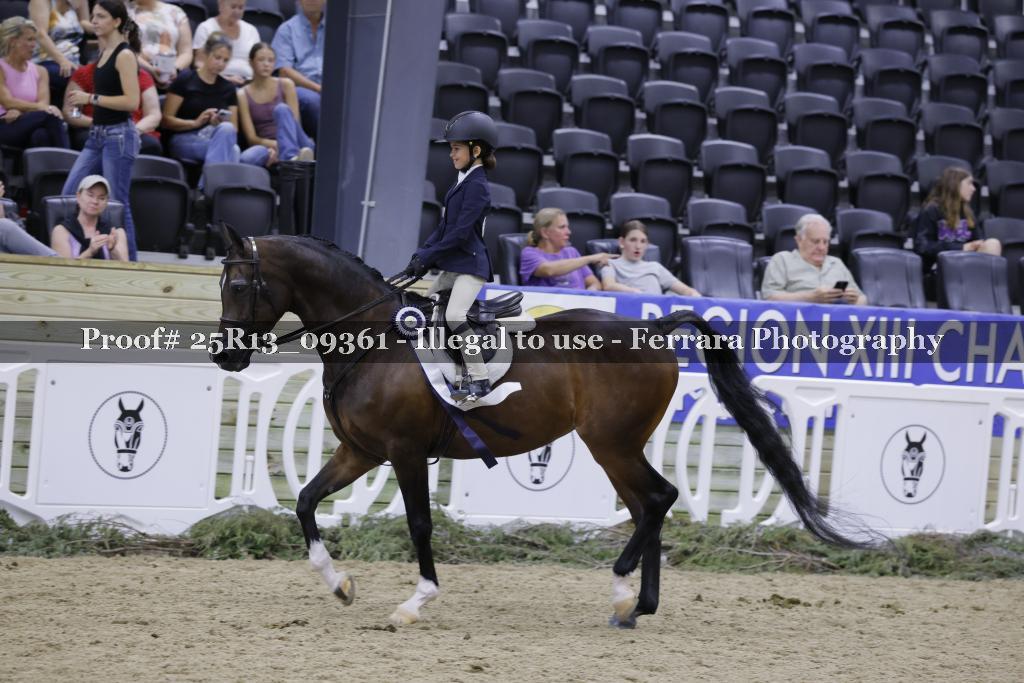 Proof 25R13_09361