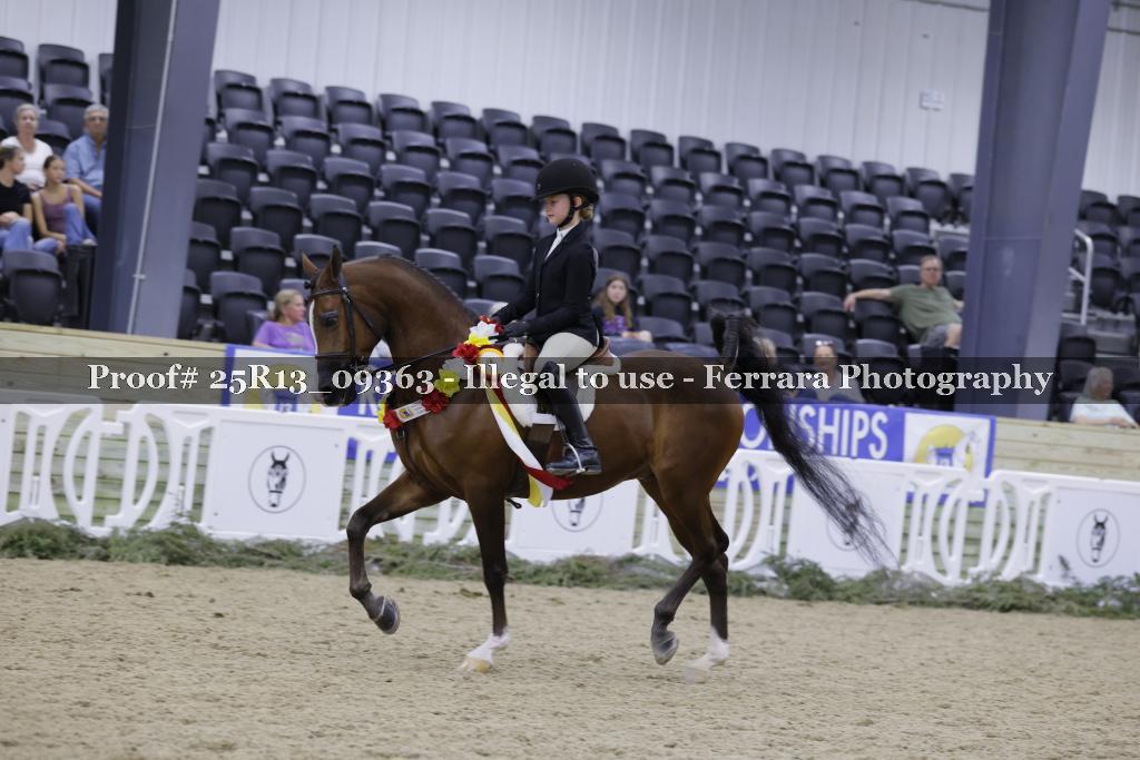 Proof 25R13_09363
