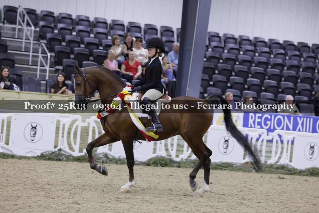 Proof 25R13_09364