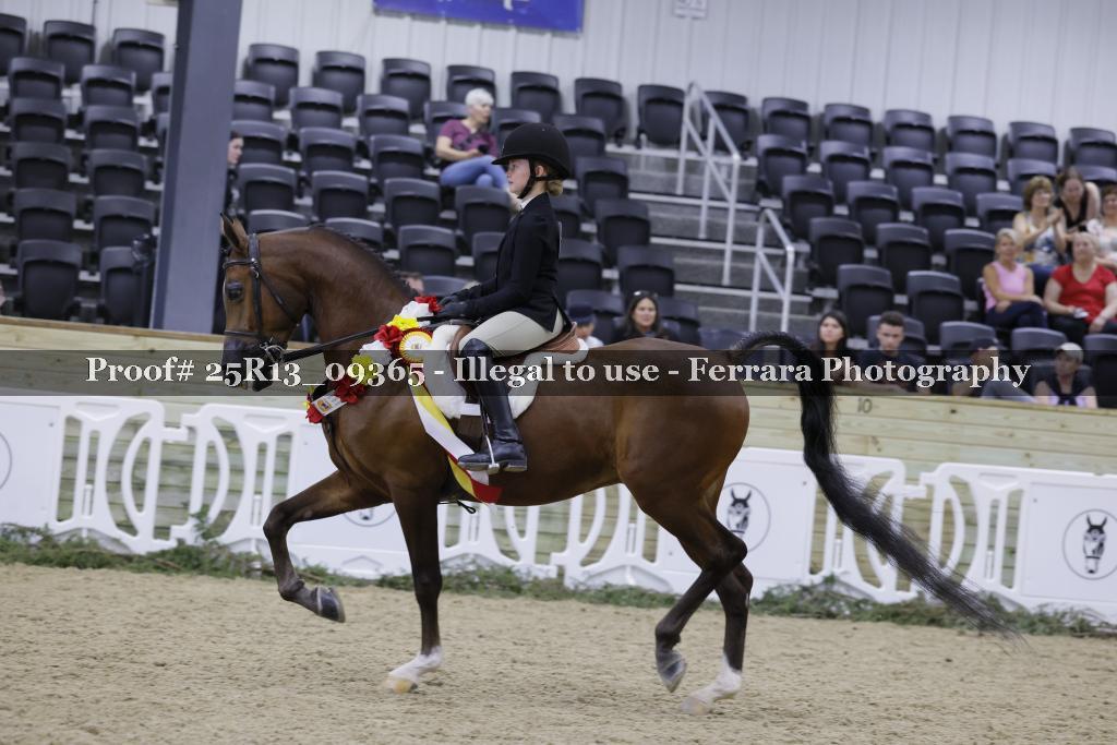 Proof 25R13_09365