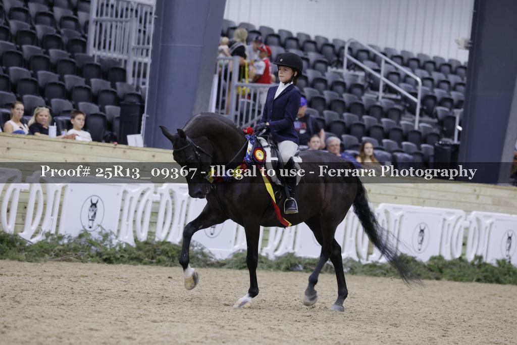 Proof 25R13_09367