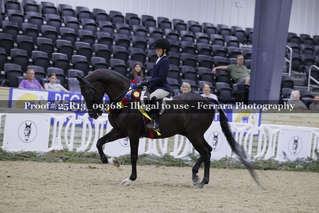 Proof 25R13_09368