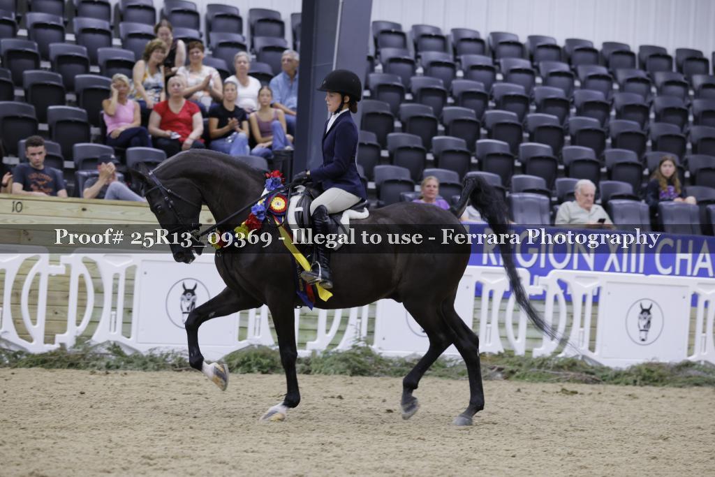 Proof 25R13_09369