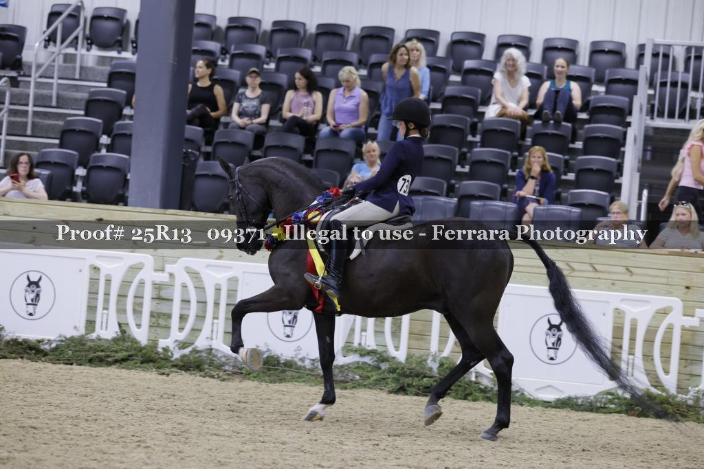 Proof 25R13_09371