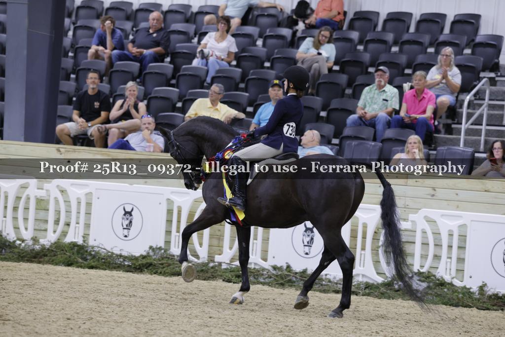 Proof 25R13_09372