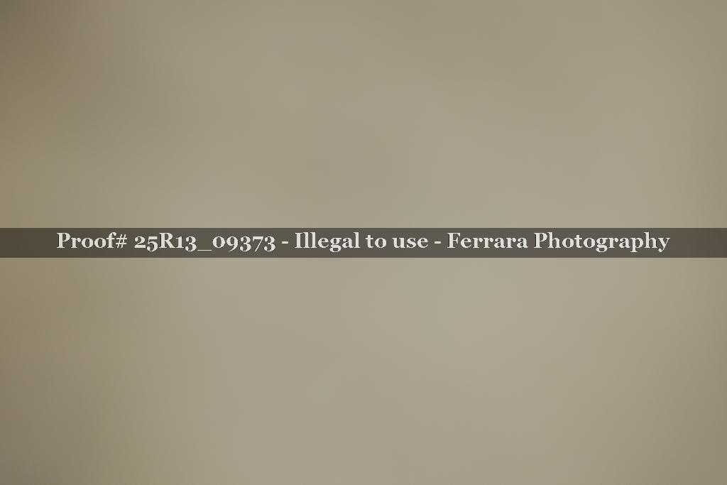 Proof 25R13_09373