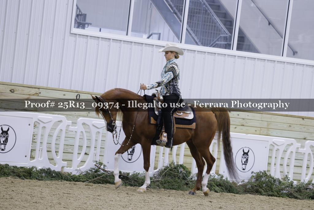Proof 25R13_09374