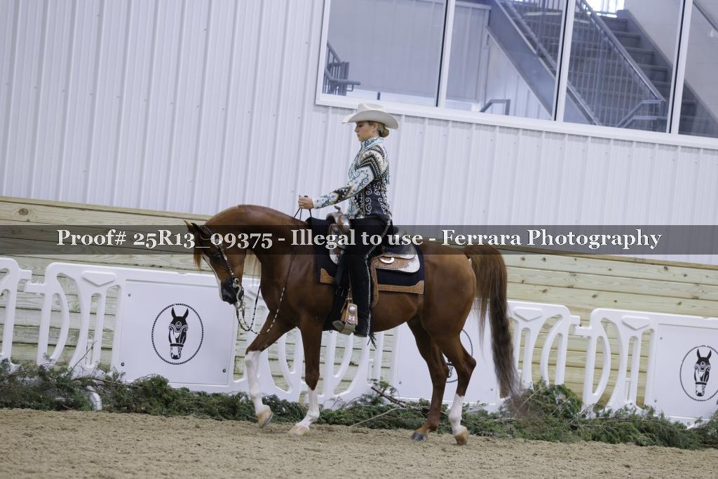 Proof 25R13_09375