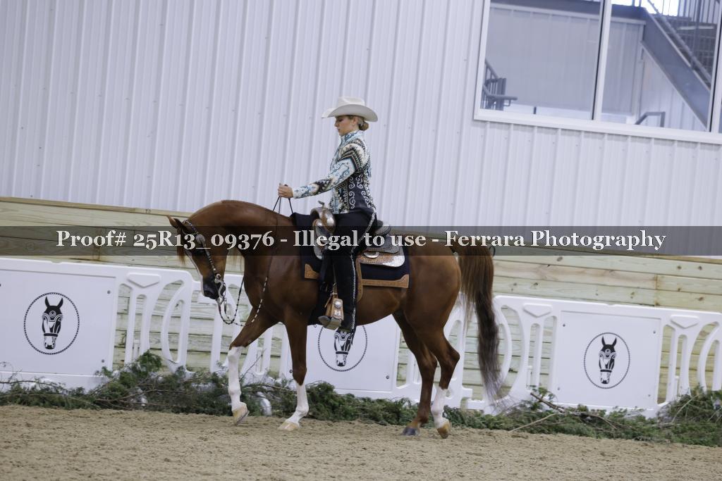 Proof 25R13_09376
