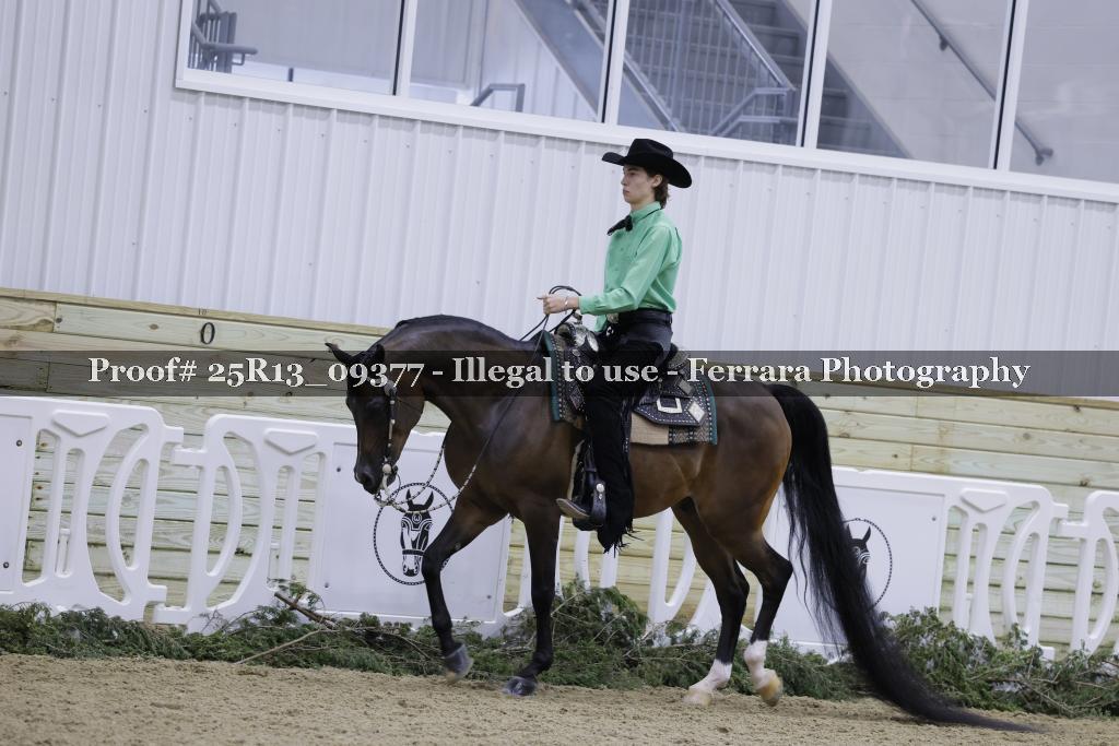 Proof 25R13_09377