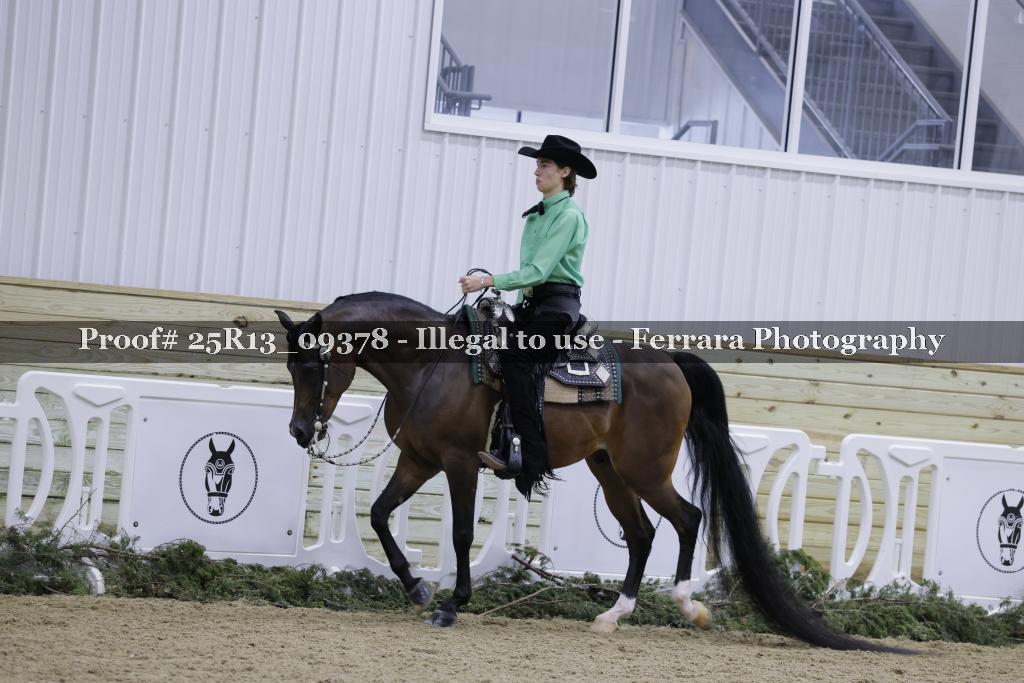 Proof 25R13_09378
