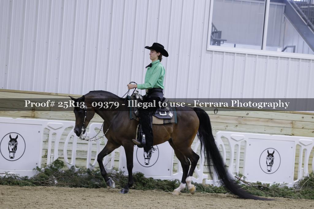 Proof 25R13_09379