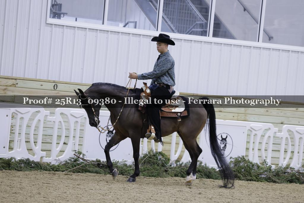 Proof 25R13_09380